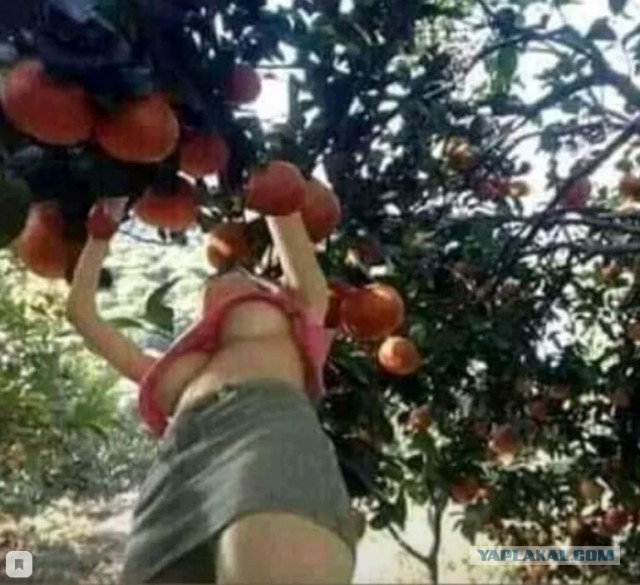 Прикольные картинки абавсём
