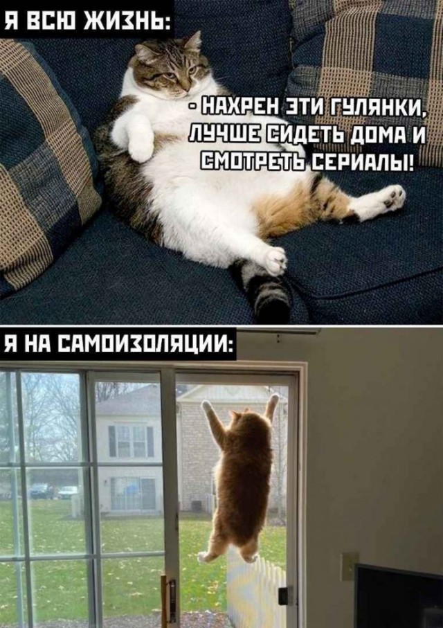 Немного картинок для настроения 14.04.20