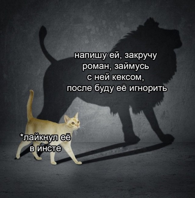 Немного картинок для настроения 17.04.20