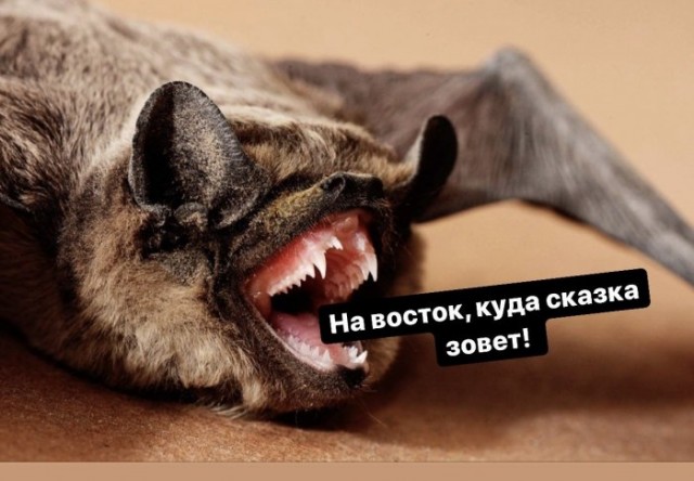 Бредзона 23.04.20