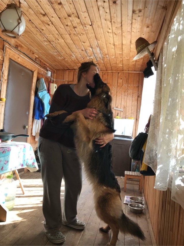 Немцы, смешные немцы