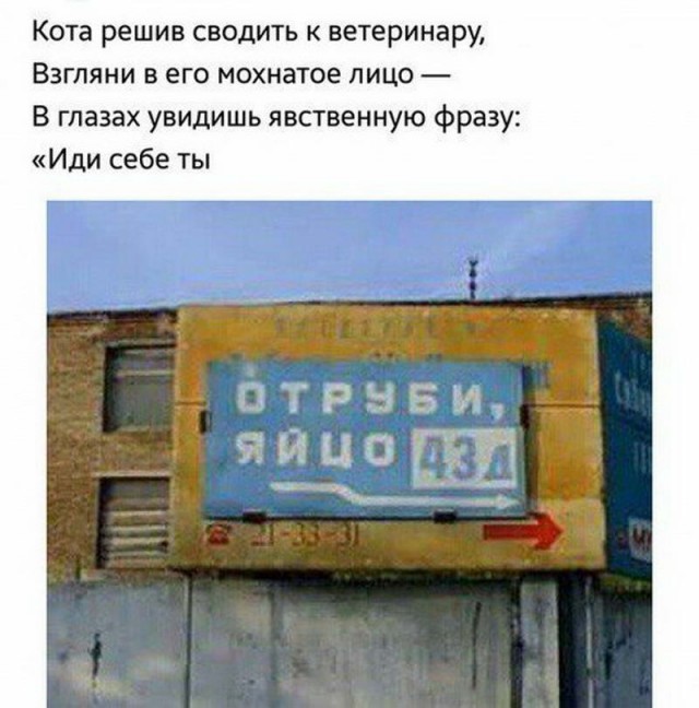Подборка баянов
