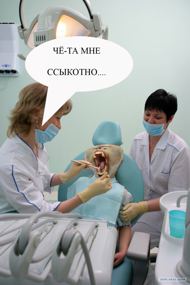 Фотожаба: Не совать!