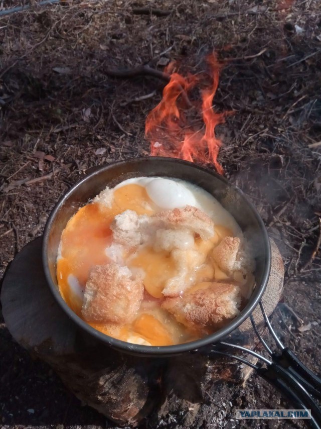 Лучше любого ресторана