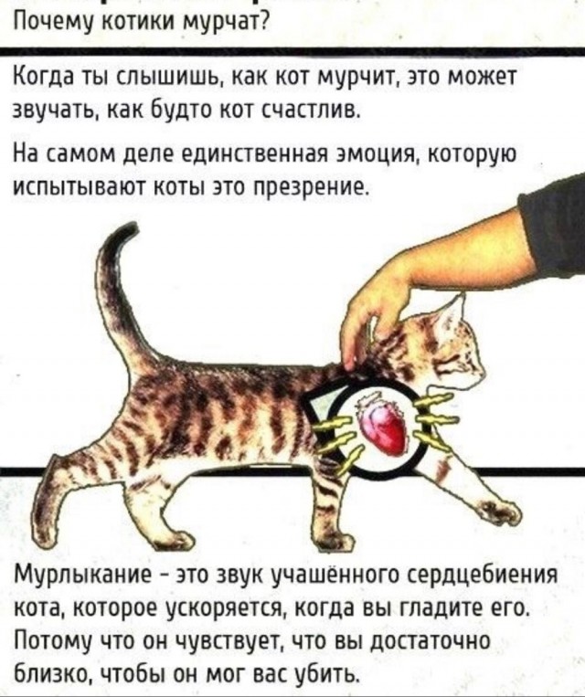 С миру по нитке 8.12.20