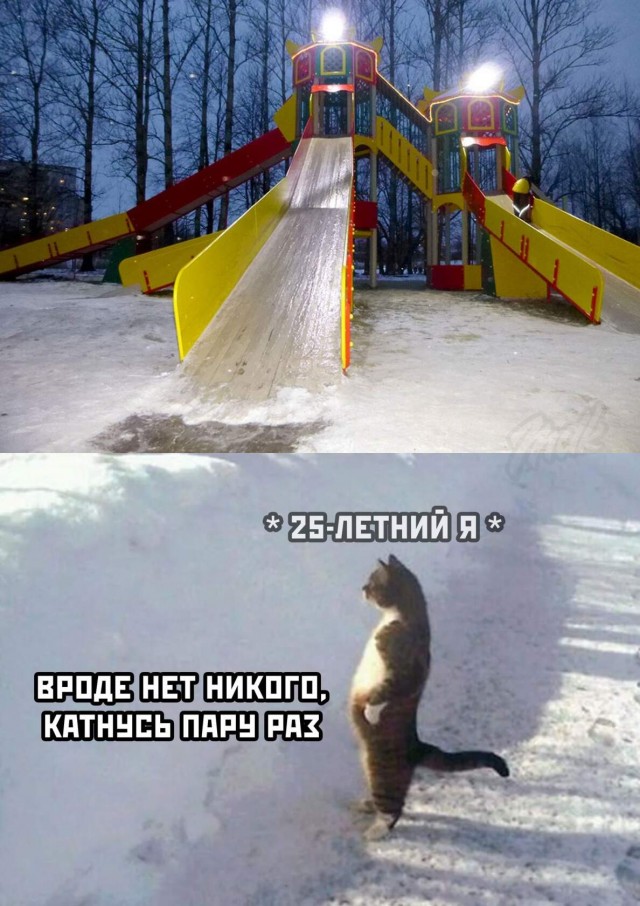 Боянистые картинки 22.12.20