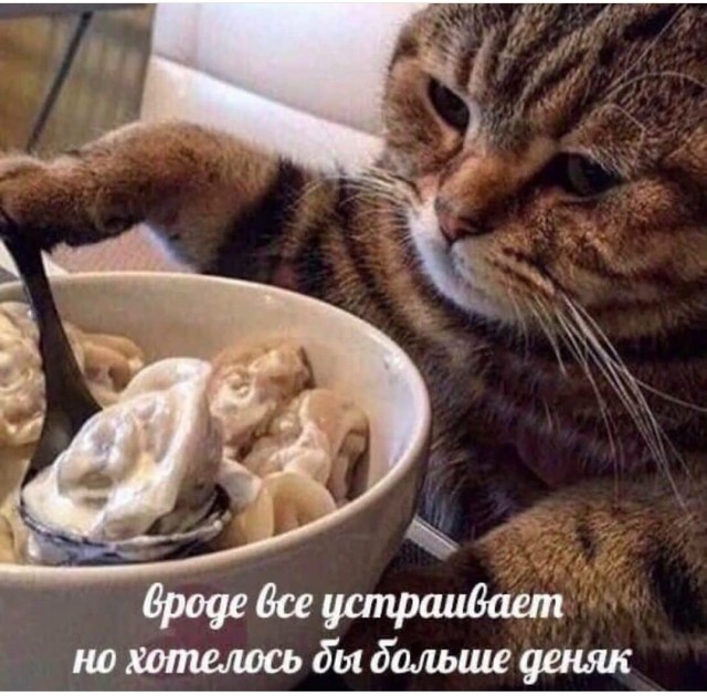 Картинки и мемы для настроения 004