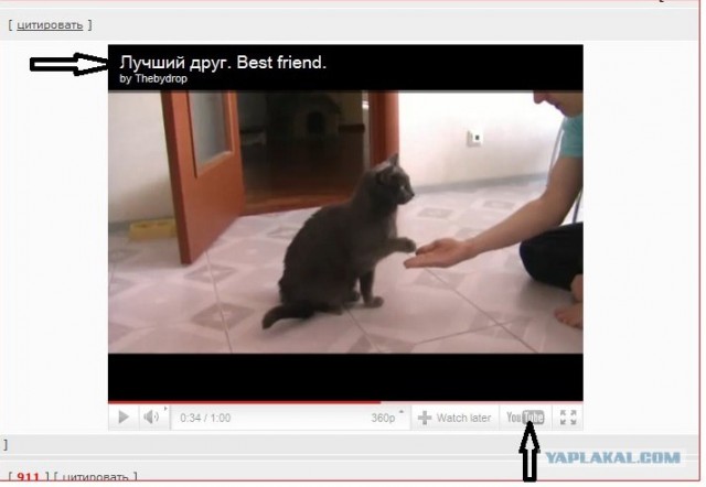 Лучший друг