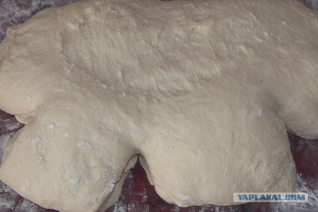 Pane di Matera.(Хлеб из Матеры.)