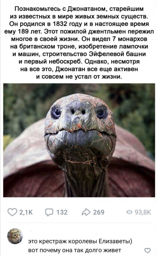 Картинки и мемы для настроения