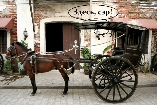 Скандально известный судья Новиков пришёл в суд и увидел там ЭТО