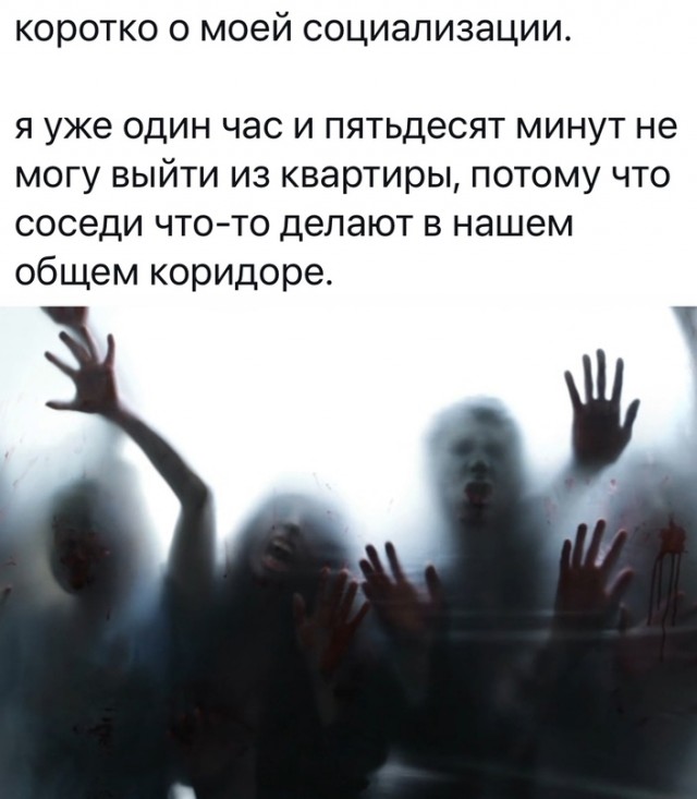 Весёлый полтишок 23.05