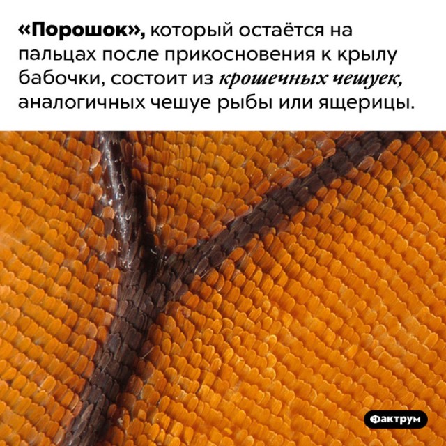 Картинки с надписями и всякие жизненные фразы 29.05.21