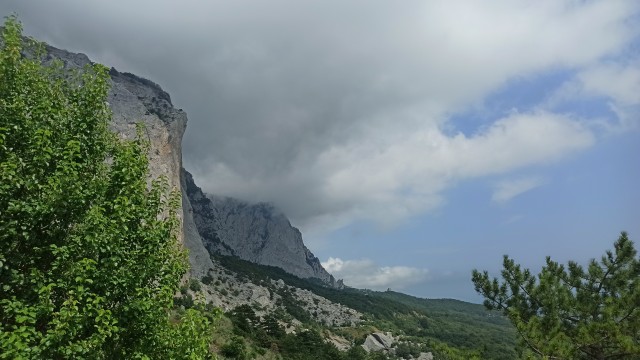 Крым - сервис на примере заказа шаурмы