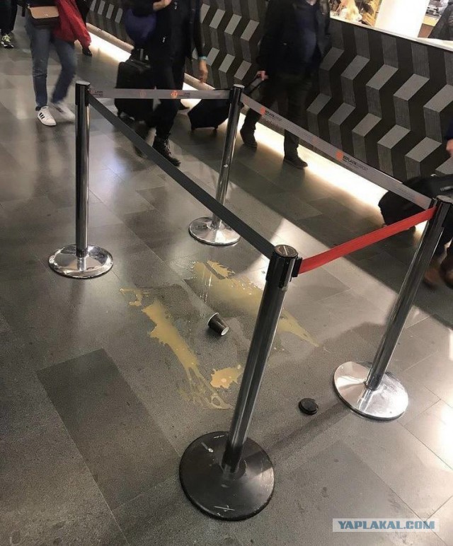 Подборка идиотских фотографий