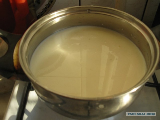 Овсянка сэр!