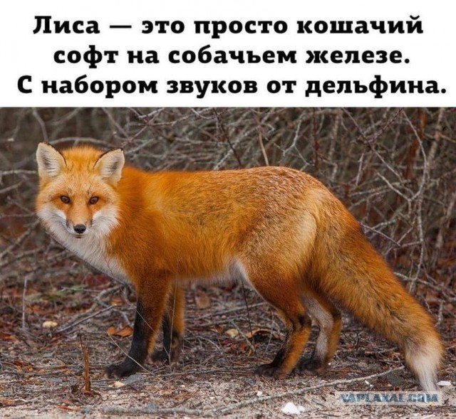 Бредзона 10.10.2021