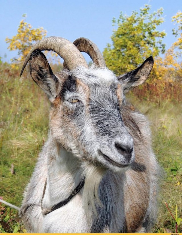 Российские женщины теряют одну из важнейших привычек