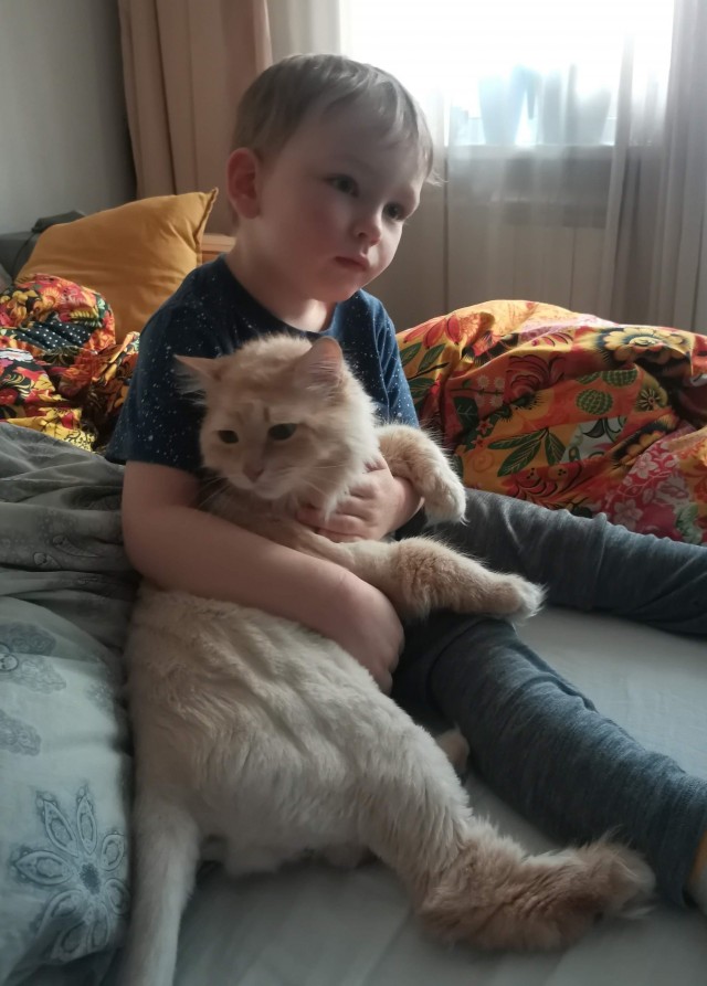 Котовторник 25.01.22