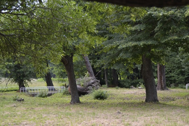 Поездка в Выборг