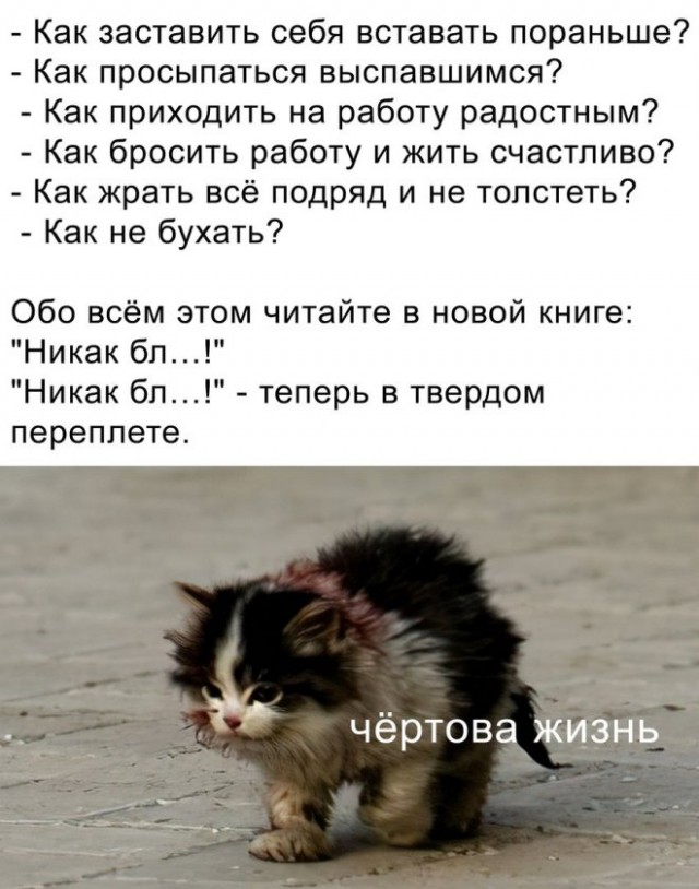 Немного картинок для настроения - 114