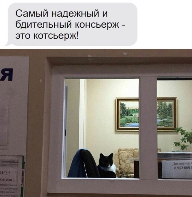Немного картинок для настроения