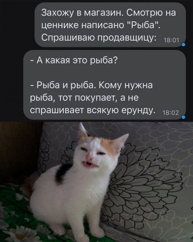 Весёлый полтишок 07.01.23