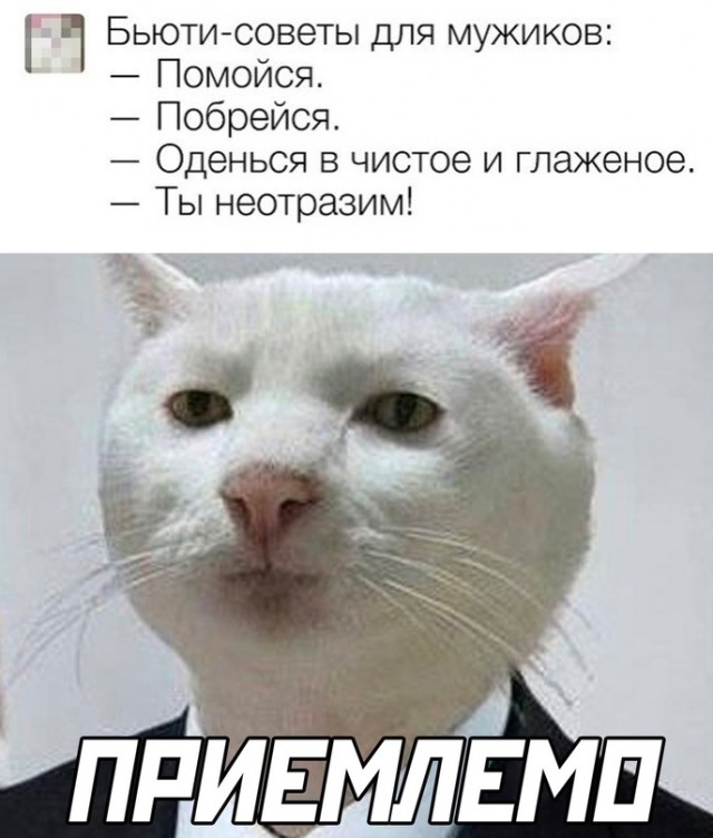 Картинки и мемы, всем хороших выходных