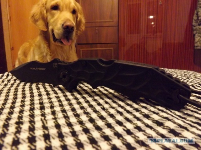 Навеяло ножевой тематикой на ЯПе