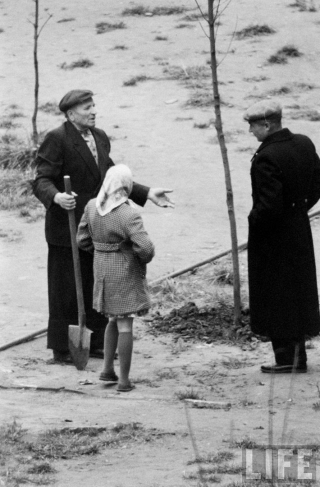 Москва и москвичи, 1962-1963 гг