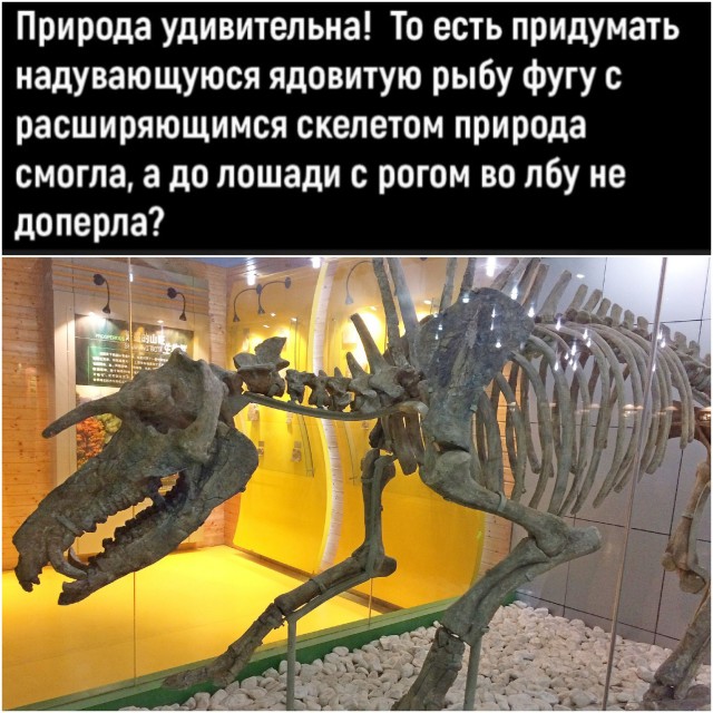 Юмор в картинках и без 09.05.2023
