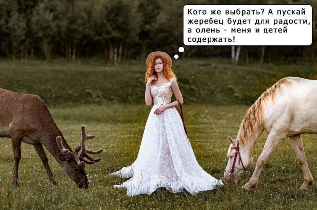 Познакомлюсь с женщиной для серьезных отношений.