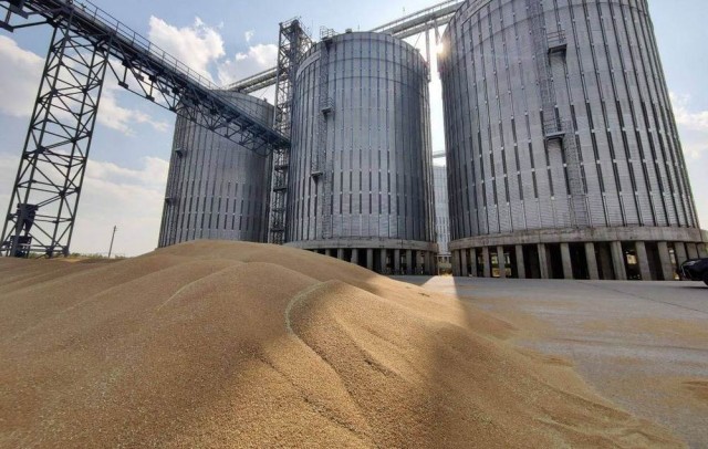 Нижегородская область - 2 млн тонн зерновых