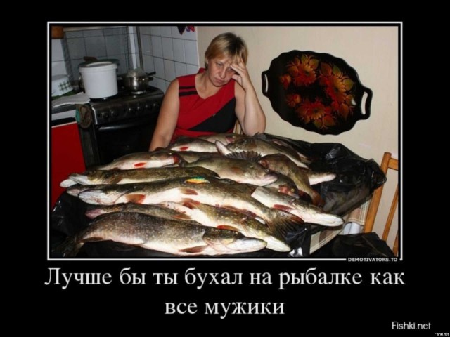 Примерно вот так вот наши астраханские мужчины ездИЮт на рыбалку
