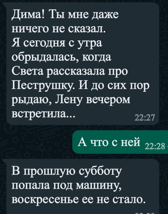 Сотрудники склада начали подкармливать кошку