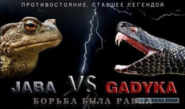 Екатерина Мизулина подаст иск против Артемия Лебедева