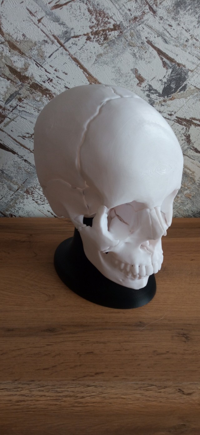 Король лев на 3D-принтере
