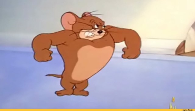 Домашний милый пушистик