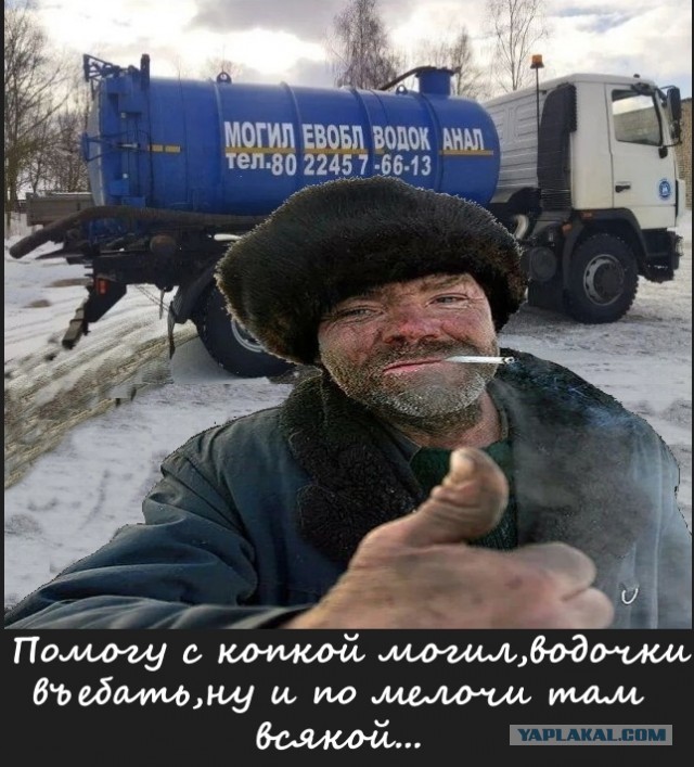 Немного забавных картинок от 23.10.2024