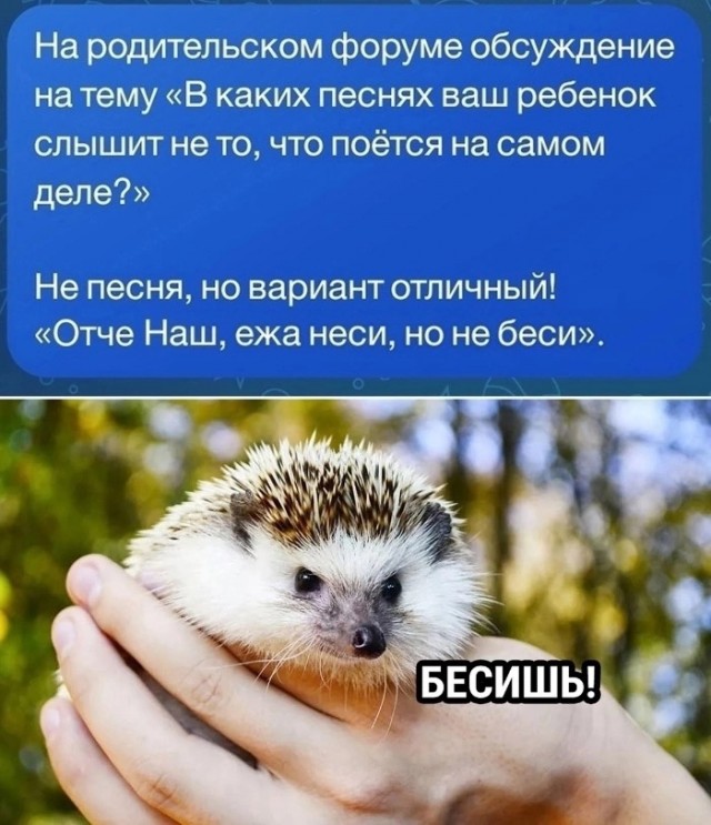Завалялось тут случайно немного забавных картинок