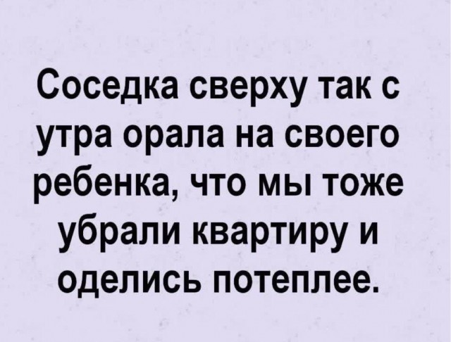 Немного забавных картинок от 22.12.24