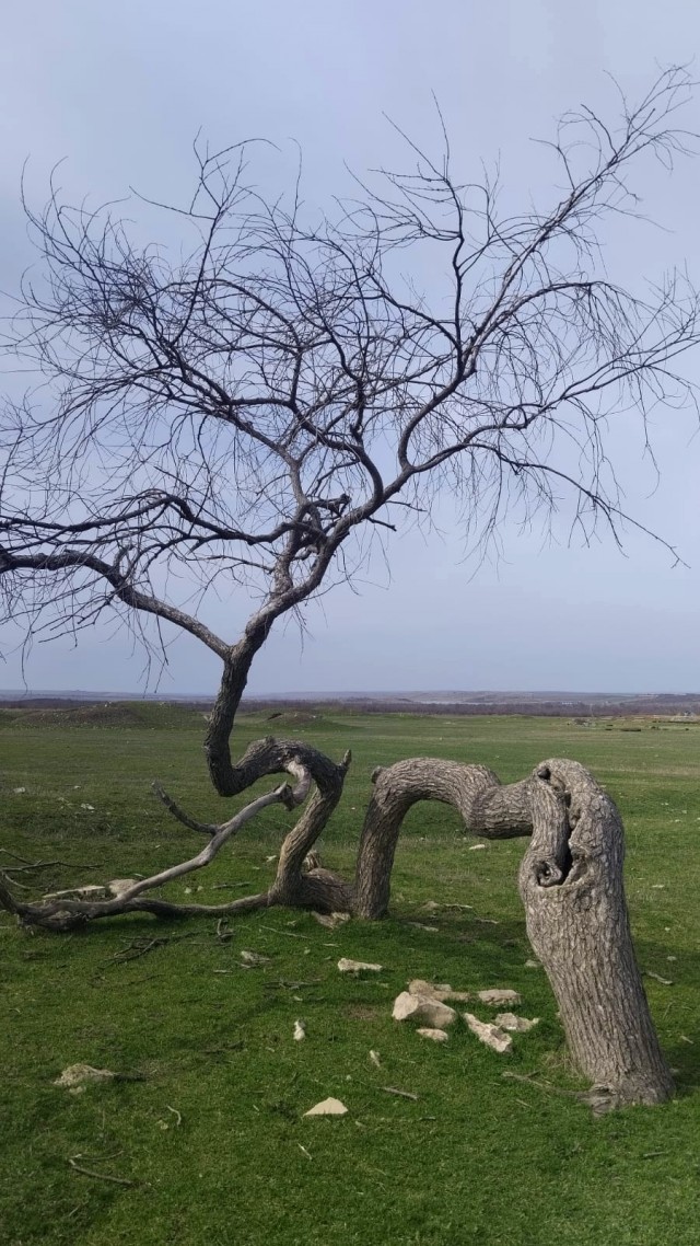 Литературная беседка v.1