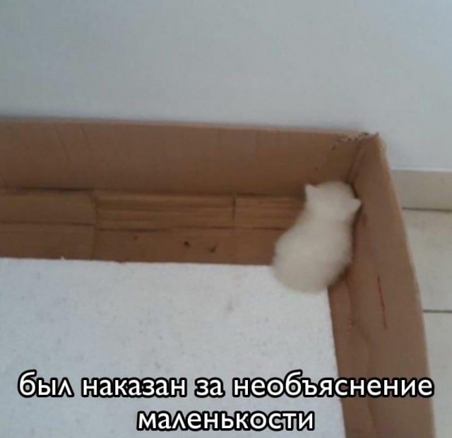 Завалялось тут случайно немного забавных картинок