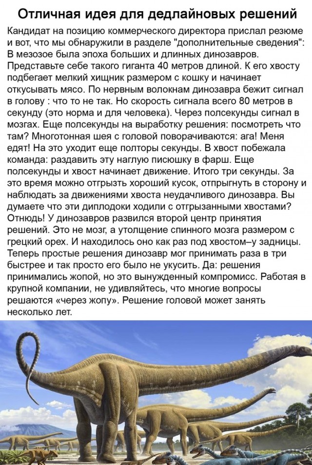 Так себе картинки 28.03.25