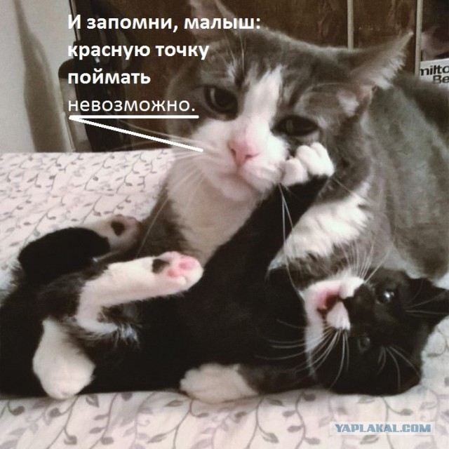 Про красную точку