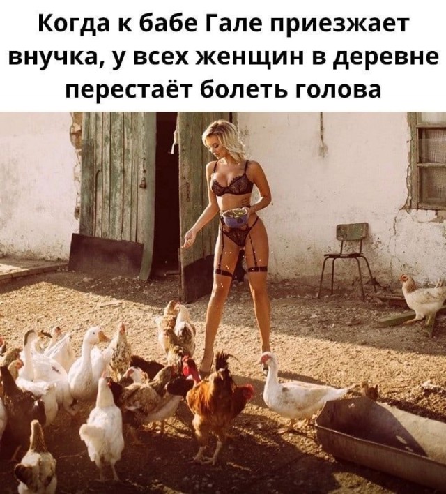 Прикольные и просто красивые картинки 16.05.2025
