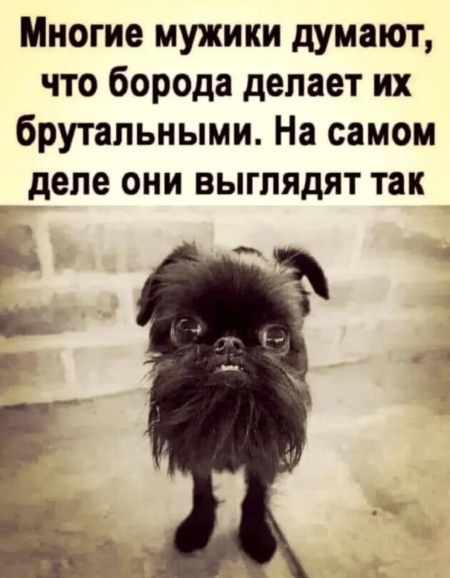Юмор в картинках с буквами за день и отёки