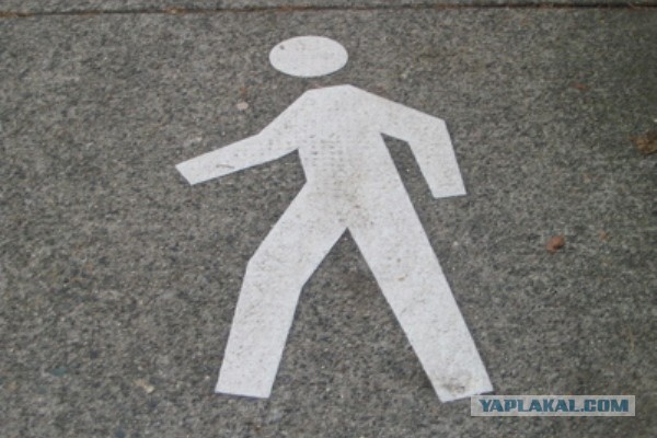 8 откровений пешехода