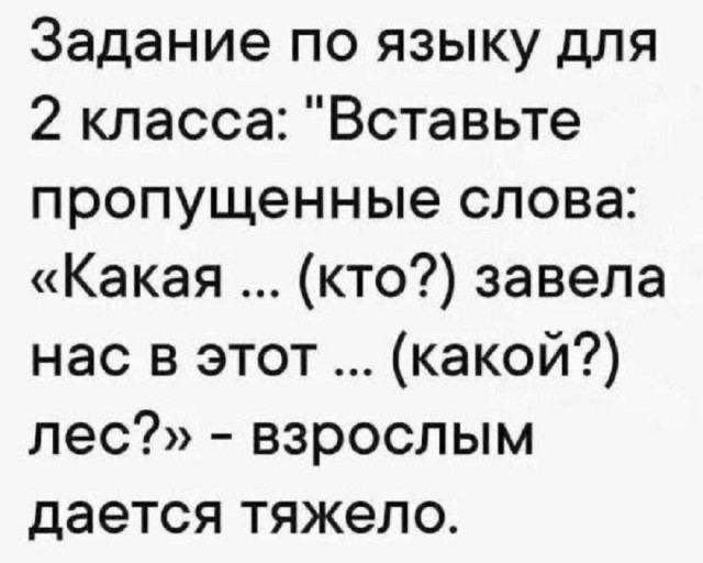 Так себе картинки 26.09.25
