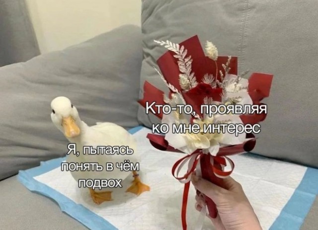 Веселые картинки в маленькую пятницу (15.10)